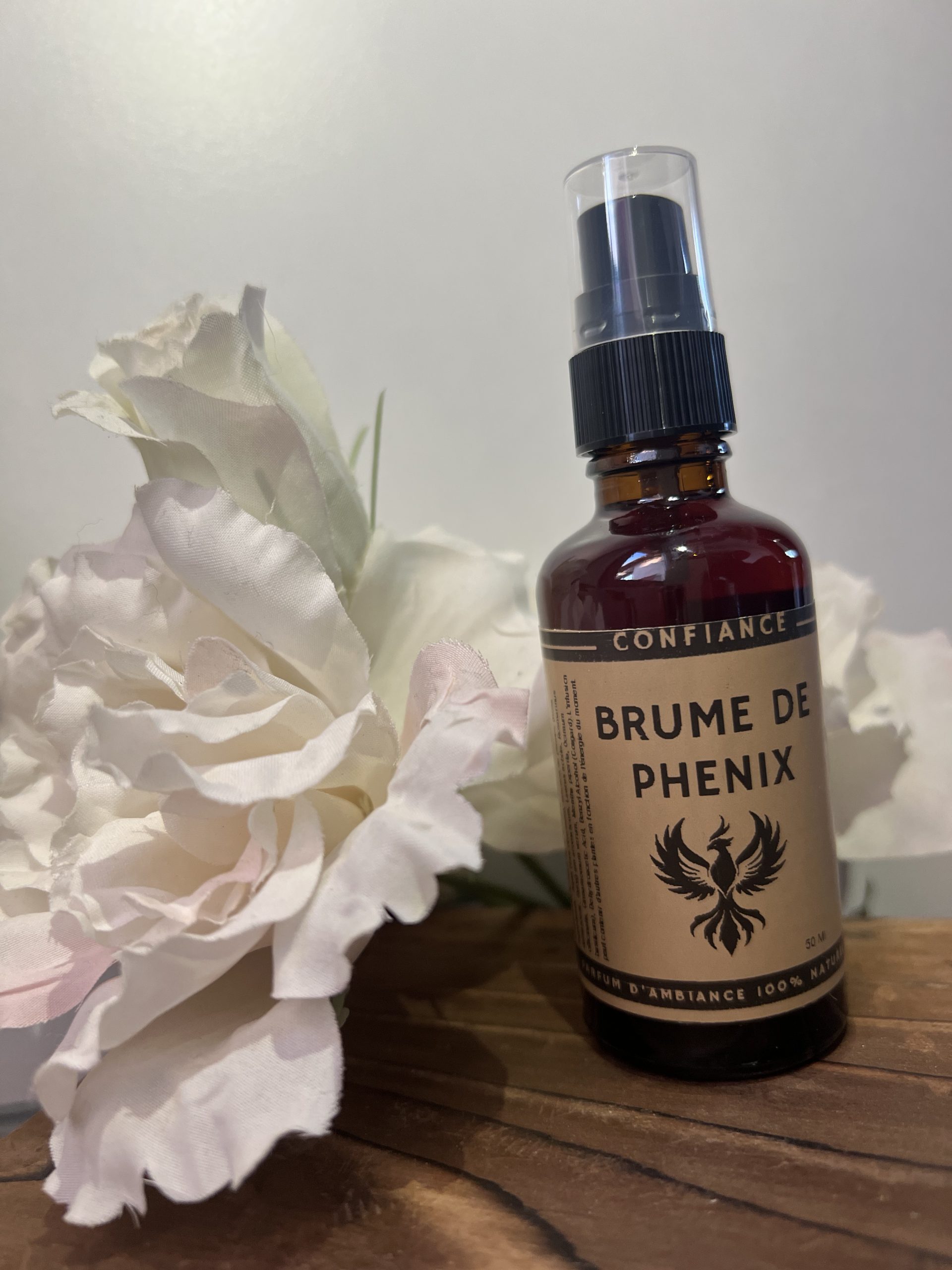 Brume de Phénix — Ancrage